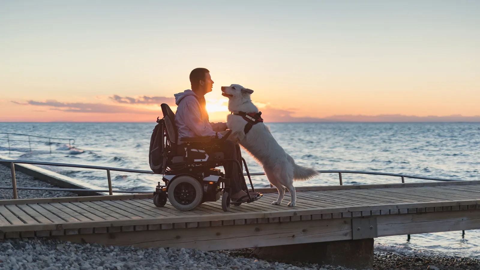 man in wheelchair at sunset on a dock with his dog